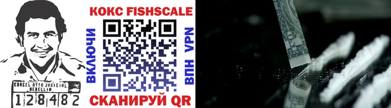 Купить закладки  Оренбург  COCAIN Fish Scale 